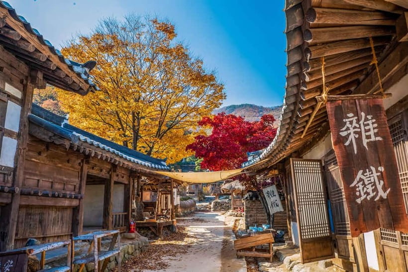 Seoul: BTS K-Pop Star Footsteps Journey ARMY Fan Day Tour - Winter Special Tour: Neungpadae to the BTS bus stop along the east coast