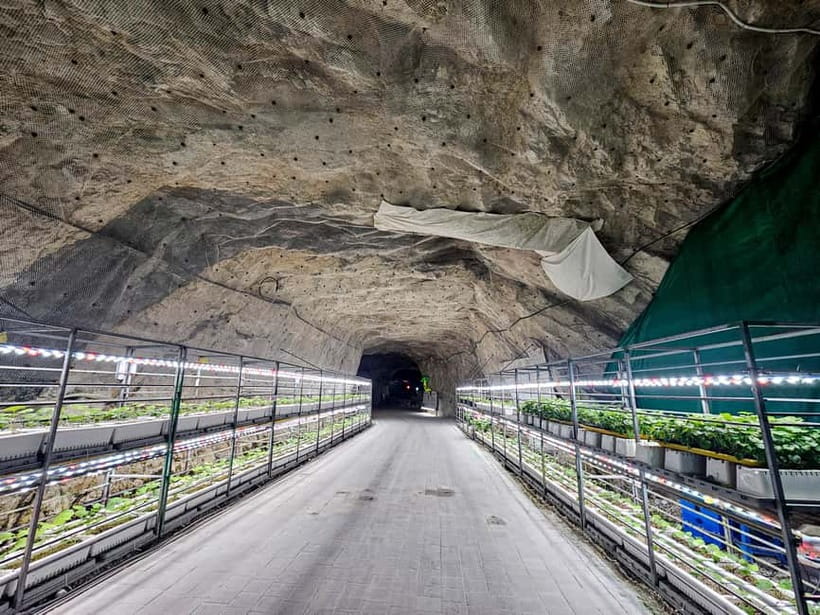 Seoul: Chungju Cruise, Cable Car & Cave Kayak Adventure Tour - Hwalok Cave kayaking in a former quarry: the cold part you will remember