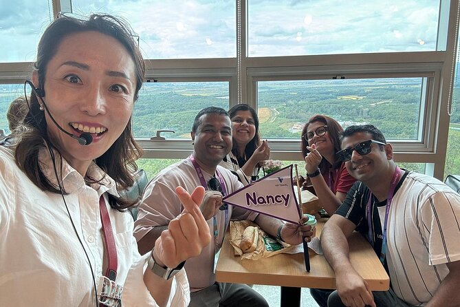 Seoul City Private Tour (Optional : Seoul, DMZ, Nami Island) - DMZ Option Near MDL Park: Meaningful, Structured, And Admission Extra