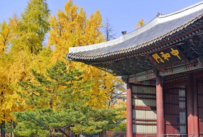 Seoul: Deoksugung Palace Night Tour - The stone wall beside Deoksugung: a quick stop you should not skip