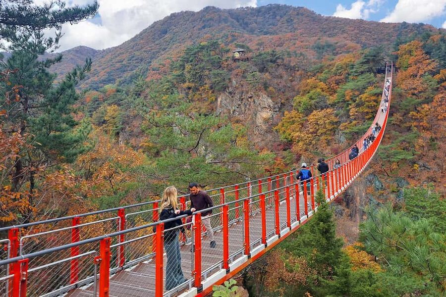 Seoul: DMZ Guided Tour with Suspension Bridge and Gondola - Gamaksan Suspension Bridge: the calm break before the heavy stops