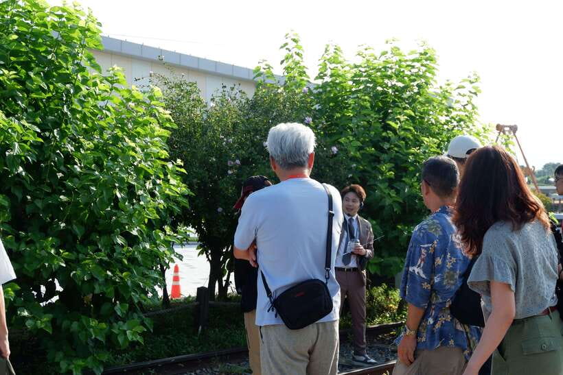 Seoul: DMZ Tour with Japanese-Speaking Guide - Freedom Bridge: where the repatriation story becomes visible
