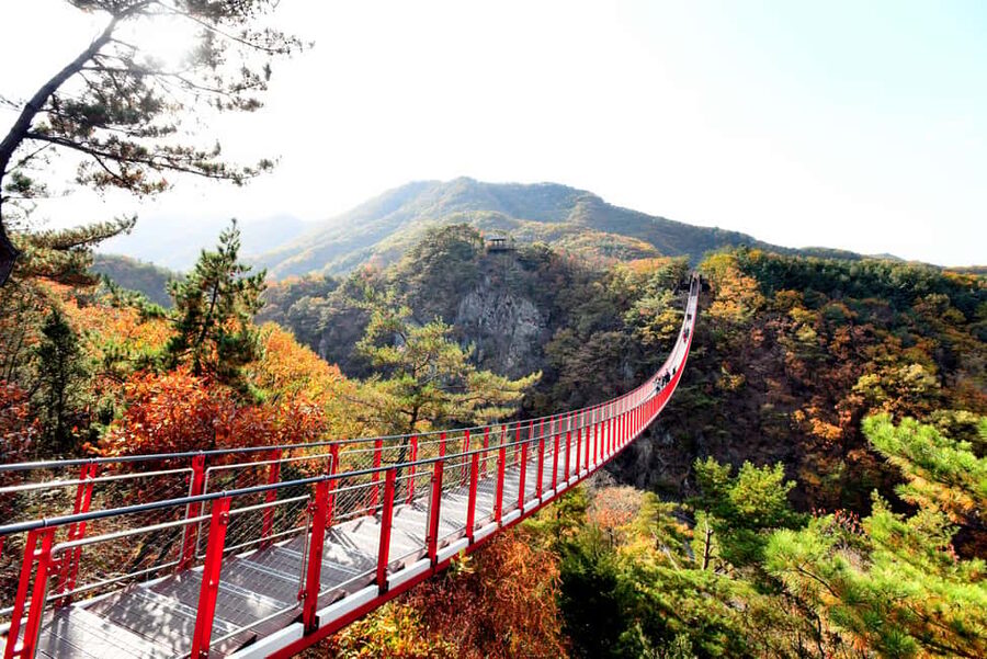 Seoul: DMZ Tour with Optional Suspension Bridge - Imjingak Park and the Bridge of Freedom