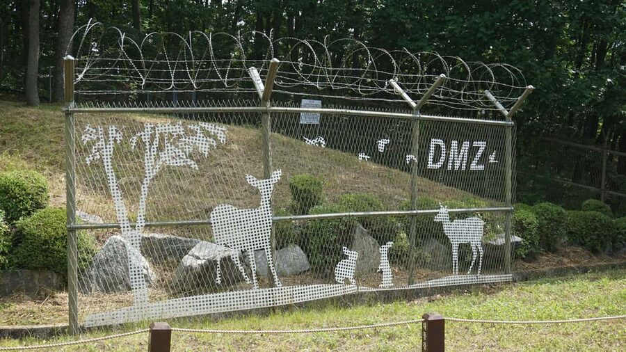 Seoul: DMZ Tour with Optional Suspension Bridge - Unification Village: A Quieter Stop for Peace-Themed Real Life