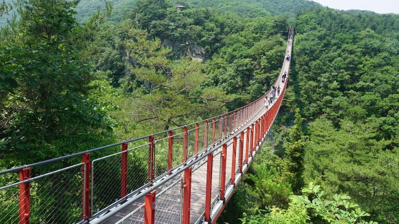 Seoul: DMZ Tour with Optional Suspension Bridge - Pickup, Ride Time, and How the Day Actually Moves