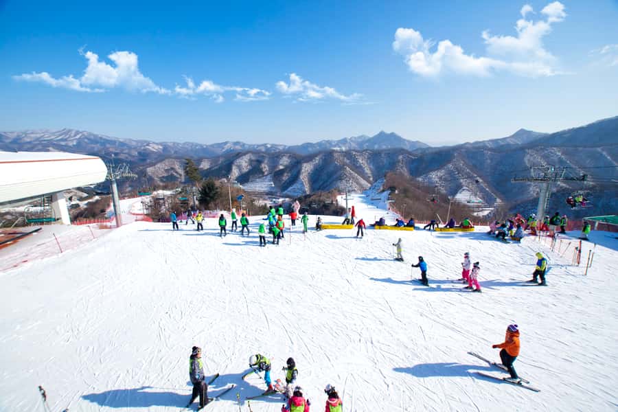 Seoul: Elysian Gangchon Winter Ski Resort Fun Day Tour - Slopes and sled runs: how the free time actually feels