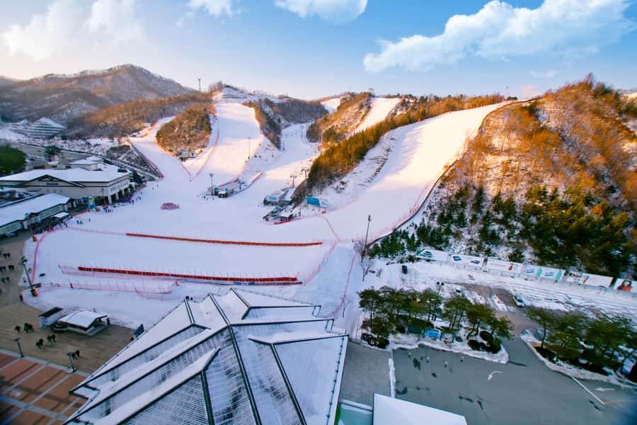 Seoul: Elysian Gangchon Winter Ski Resort Fun Day Tour - The guide vibe: English help, patient teaching, and real-world support