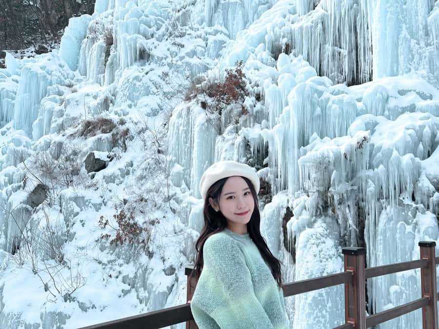 Seoul: Elysian Gangchon Winter Ski Resort Fun Day Tour - Who this tour suits best in a Seoul winter
