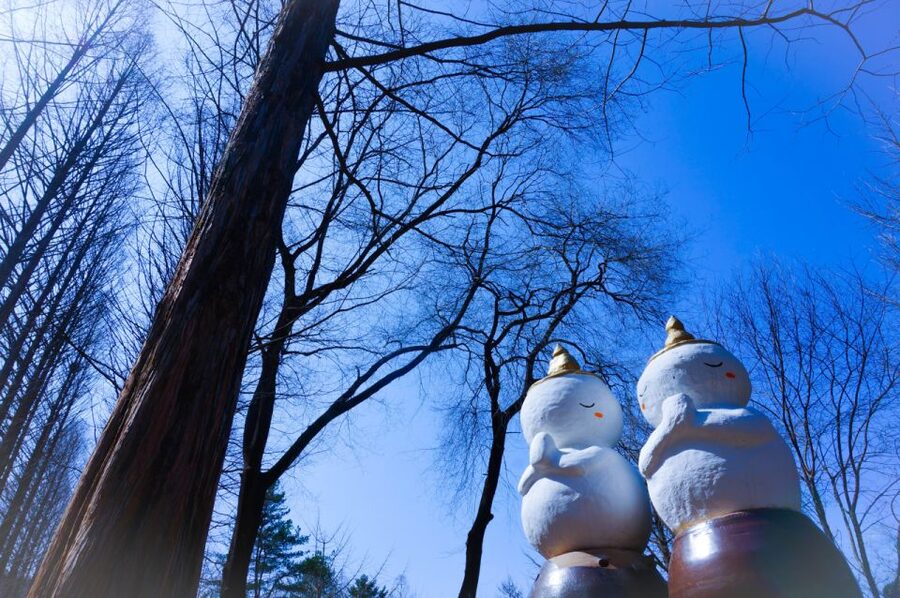 Seoul: Elysian Gangchon Winter Ski with Nami Island Day Tour - Where you get picked up and dropped off around Seoul
