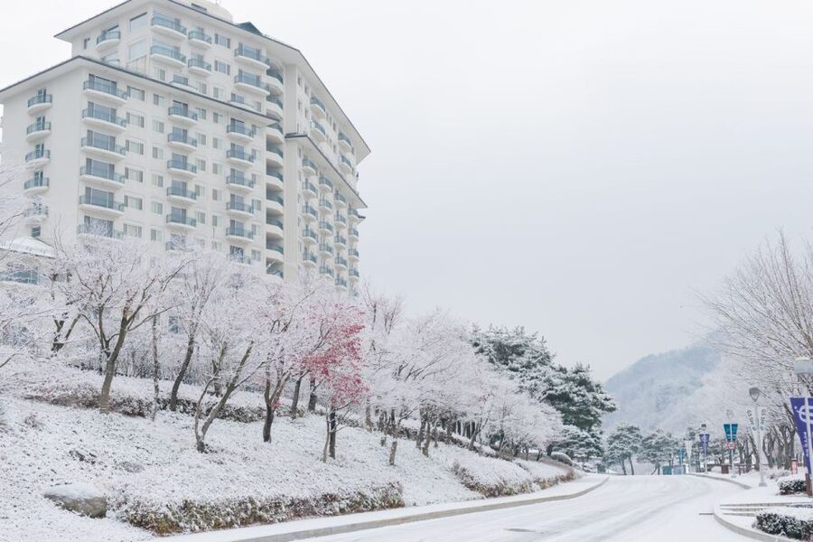 Seoul: Elysian Gangchon Winter Ski with Nami Island Day Tour - Choosing your winter plan: packages A to E explained clearly