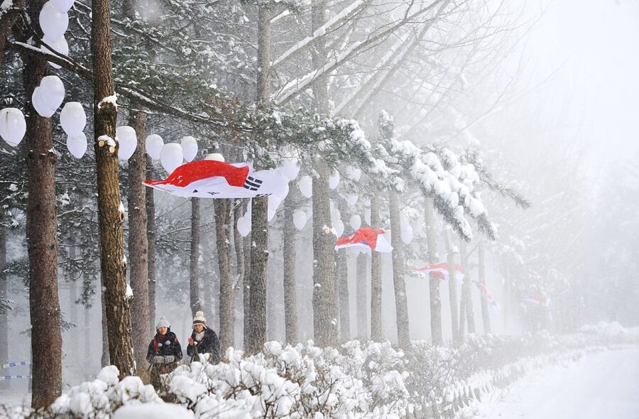 Seoul: Elysian Gangchon Winter Ski with Nami Island Day Tour - Nami Island photos versus real snow: how to set expectations