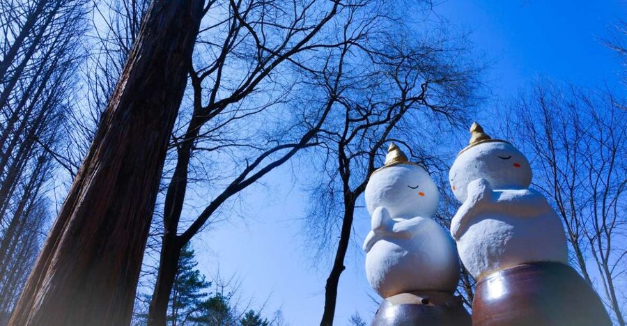 Seoul: Elysian Gangchon Winter Ski with Nami Island Day Tour - Timing and transport: a 12 hour schedule with real moving parts