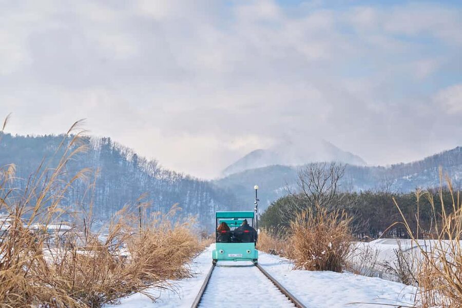 Seoul: Eobi Ice Valley, Alpaca World, Nami Island and More - A winter day trip built for icicles, alpacas, and K-drama strolls