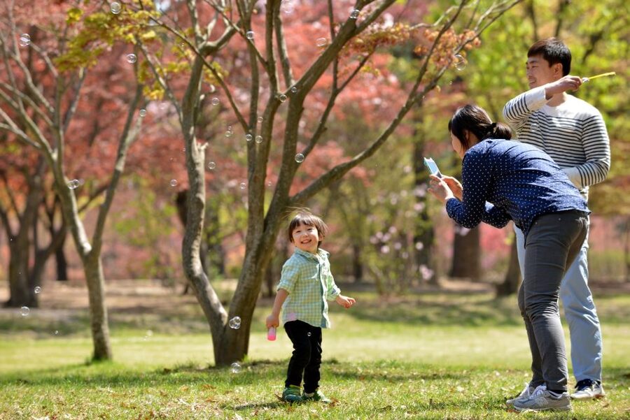 Seoul: Eobi Ice Valley, Alpaca World, Nami Island and More - Alpaca World: the warm animal break that can still feel tight