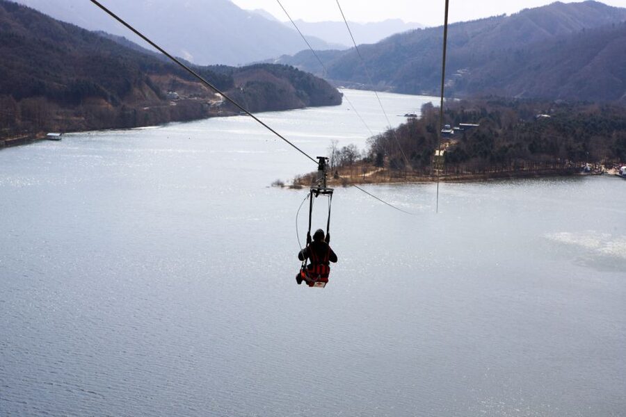 Seoul: Eobi Ice Valley, Alpaca World, Nami Island and More - How the guide can make or break a long winter day