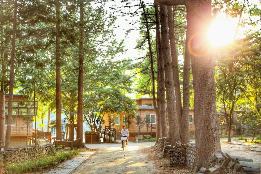 Seoul: Eobi Valley(Winter), Strawberry, Nami Island and Bike - Key Things I’d Focus On Before You Go