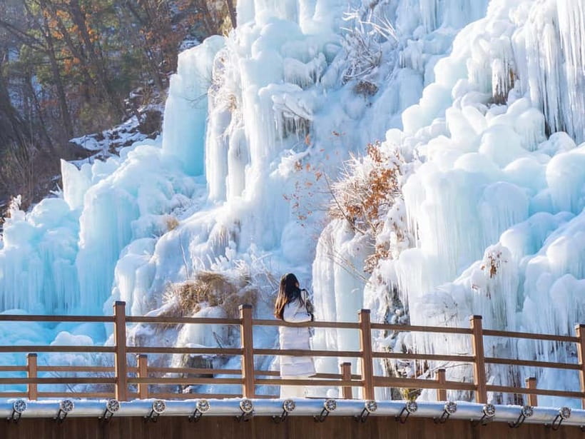Seoul: Eobi Valley(Winter), Strawberry, Nami Island and Bike - FAQ