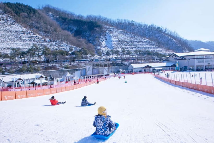 Seoul: Full-Day Winter Trip Ski Resort, Ice Valley, Namiseom - Why This One-Day Winter Loop From Seoul Works