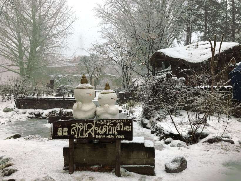 Seoul: Full-Day Winter Trip Ski Resort, Ice Valley, Namiseom - Choosing Your Ski or Snowboard Option Without Getting Stressed