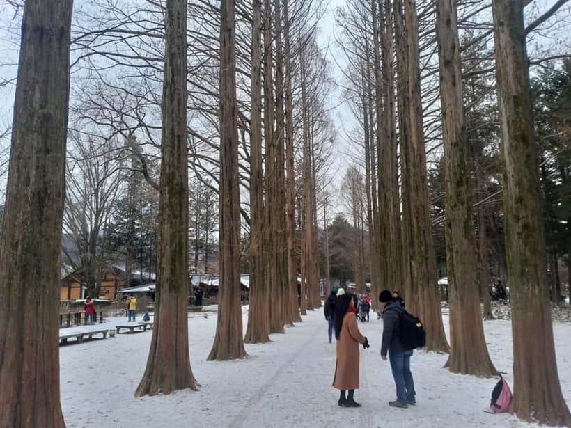 Seoul: Full-Day Winter Trip Ski Resort, Ice Valley, Namiseom - Nami Island: Romantic Walks, Ferry Time, and a Photo-Friendly Winter Mood