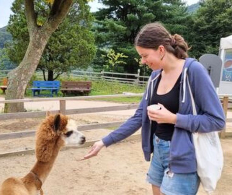 Seoul: Gangwon-do Day Trip with Alpaca World & Nami Island - Garden of Morning Calm: themed paths and photo-friendly pauses