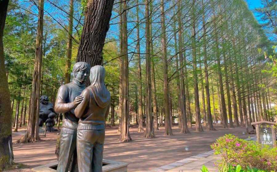Seoul: Gangwon-do Day Trip with Alpaca World & Nami Island - Why the guide matters: names you will likely hear on this route