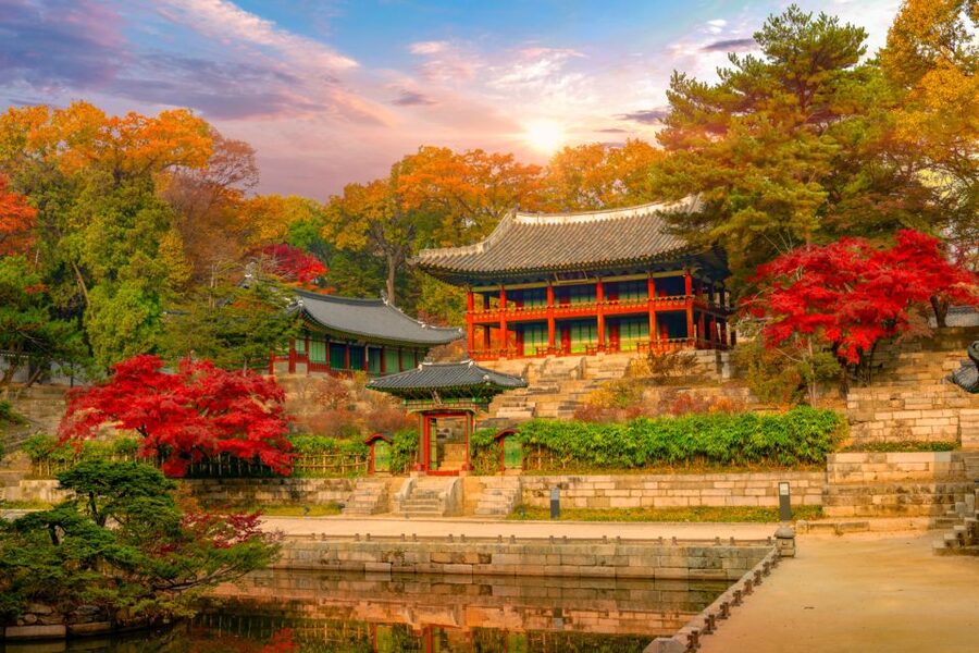 Seoul: Gyeongbok Palace and Bukchon Hanok Walking Tour - Insadong Finish: Turn the Stories Into Souvenirs and Snacks