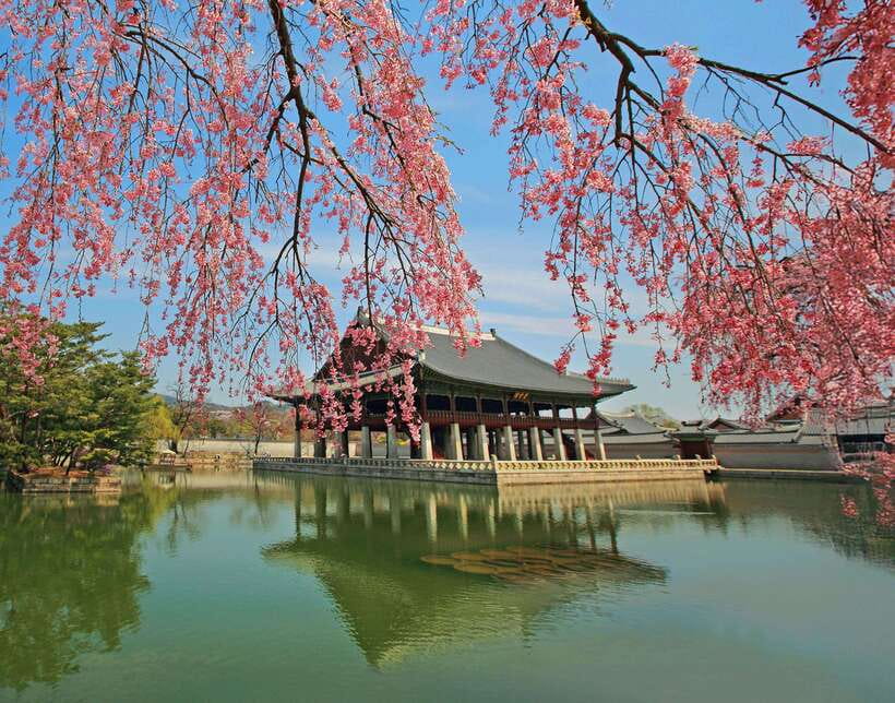 Seoul Highlights: Gyeongbok Palace, Insadong & N Seoul Tower - Key highlights you will feel right away