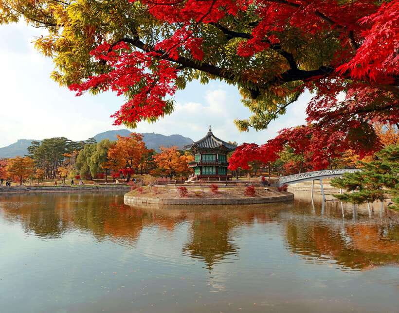 Seoul Highlights: Gyeongbok Palace, Insadong & N Seoul Tower - Why This Seoul Route Works for First-Timers and Short Stays