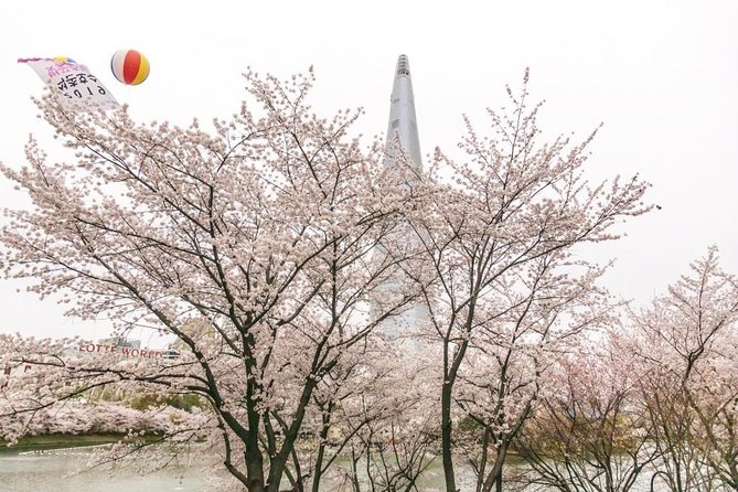 Seoul Highlights & Hidden Gems – Private Tour with Photo Service - Private photo tour vs. “good luck and a selfie stick”