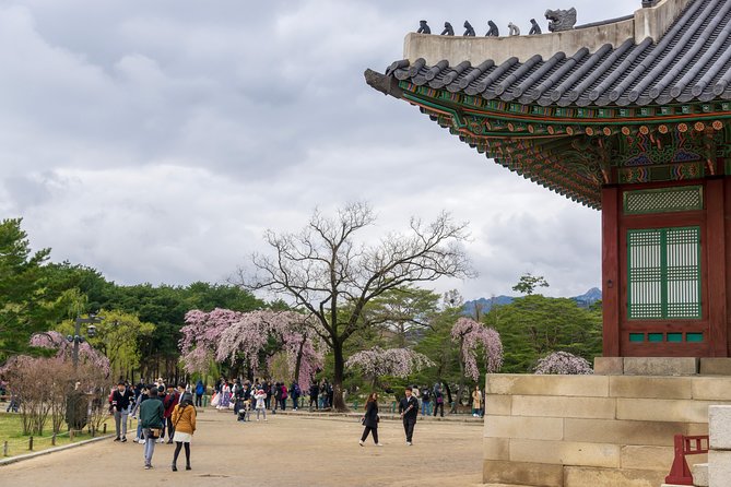 Seoul Highlights & Hidden Gems – Private Tour with Photo Service - Bukchon Hanok Village: short walk, big atmosphere