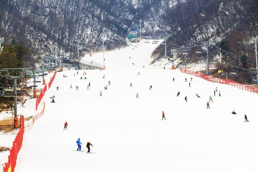 Seoul: Jisan Forest Winter Ski Day Tour with Basic Lesson - Shuttle Only vs Ski or Snowboard Full Package: What You’re Actually Paying For