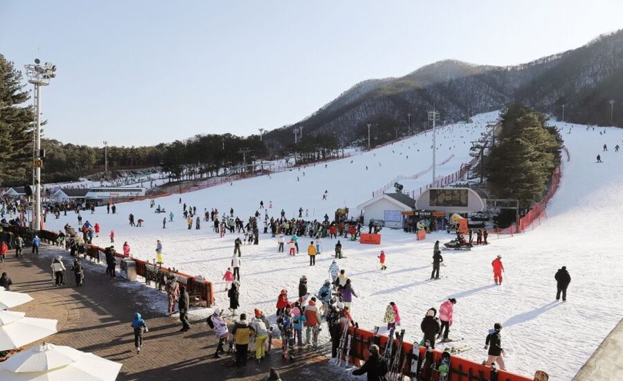 Seoul: Jisan Forest Winter Ski Day Tour with Basic Lesson - Skiing in a Pine Forest: What 7 Slopes Means for Real Skill Levels