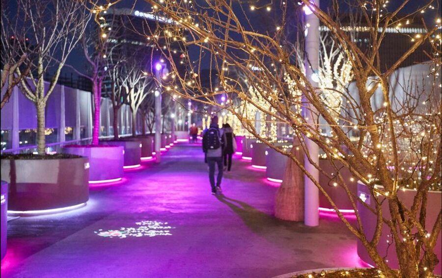 Seoul: Moonlight Rainbow Fountain Show Night Tour - Hangang Park and Sevit Seom: river nights and real dinner timing