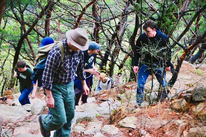 Seoul Mountain Hike: Temples, Folklore & Traditional Meal - Lunch and Drinks at a Mountain Restaurant: Fuel With a Local Shape