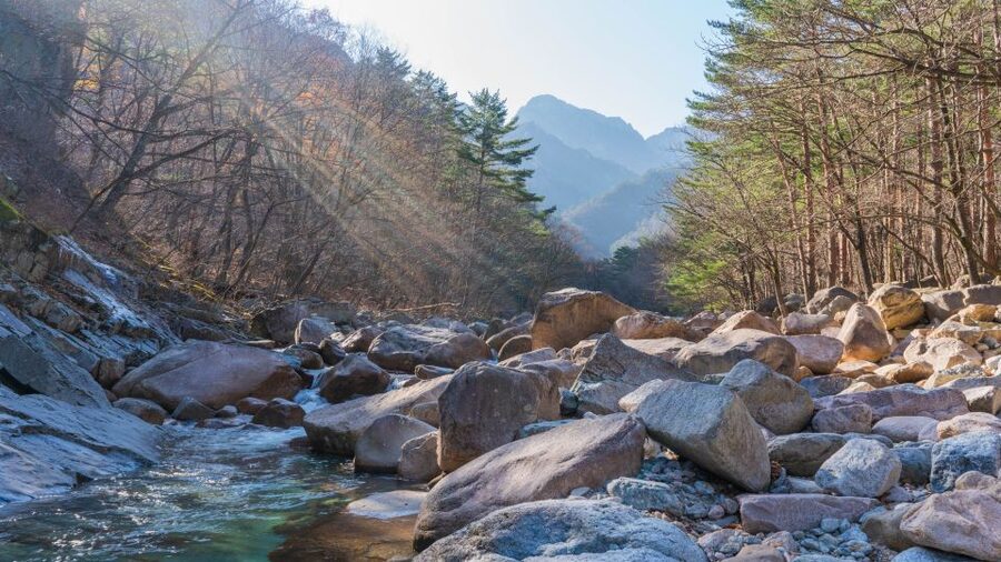 Seoul: Mt Seorak + Naksansa Temple or Nami Island Group Tour - Quick Key Points You Should Know