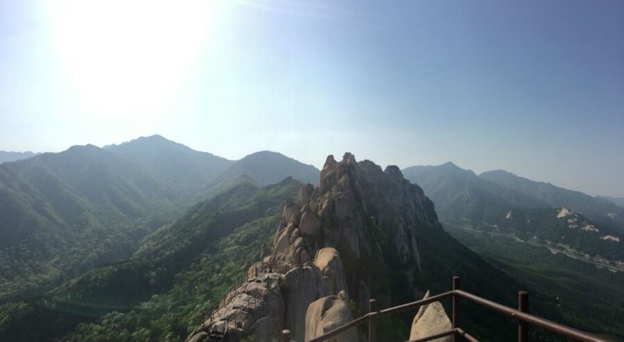 Seoul: Mt Seorak + Naksansa Temple or Nami Island Group Tour - Nami Island Half-Moon Walks: Film Spots and Wildlife