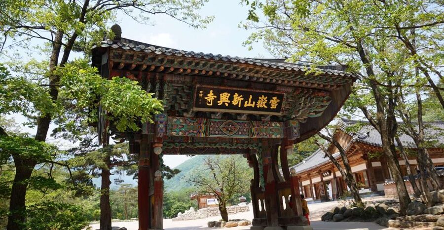 Seoul: Mt Seorak + Naksansa Temple or Nami Island Group Tour - Who This Day Trip Fits Best (and Who Might Be Happier Elsewhere)