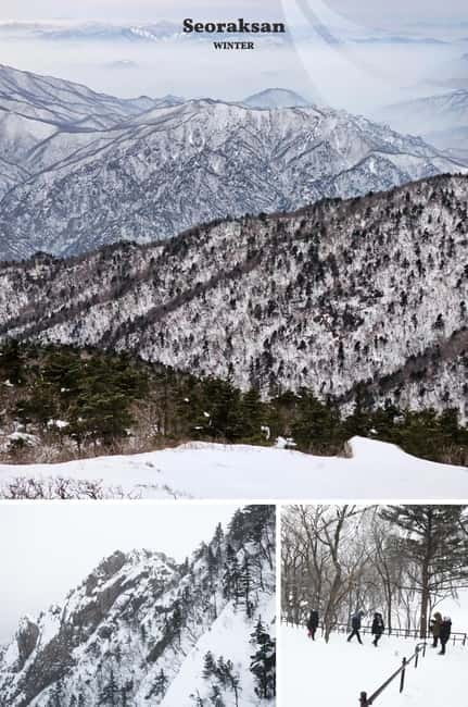 Seoul: Mt. Seorak & Nami Island & Eobi Ice Valley Day Tour - Seoraksan National Park: cable car views, quick exploration, and the UNESCO angle