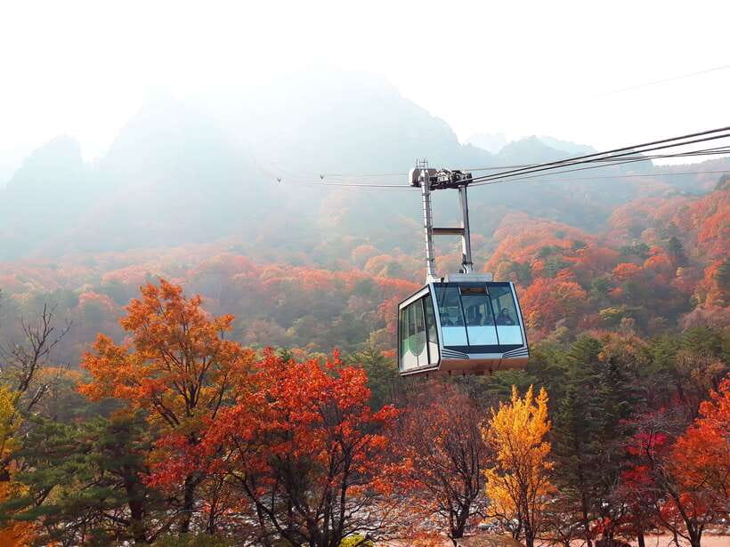 Seoul: Mt.Seorak, Nami Island & Korean Garden, No Shopping - Key Highlights You Will Feel Immediately