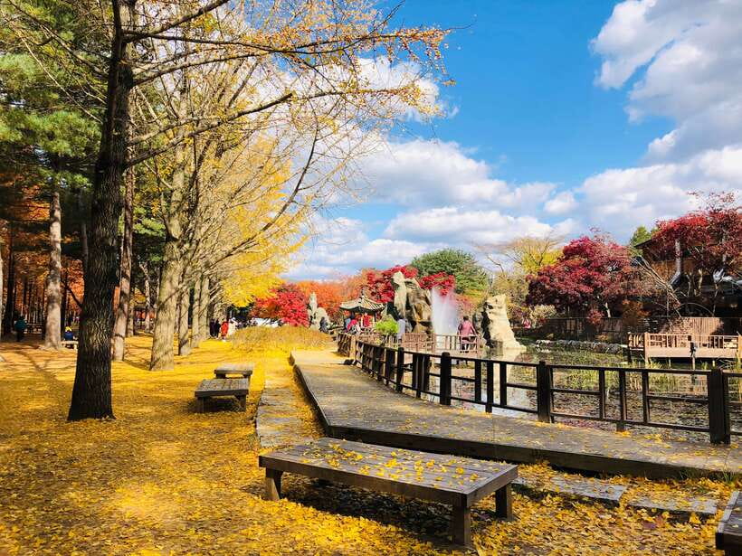 Seoul: Mt.Seorak, Nami Island & Korean Garden, No Shopping - Drop-Offs in Seoul, Where You End Up, and One Traffic Warning