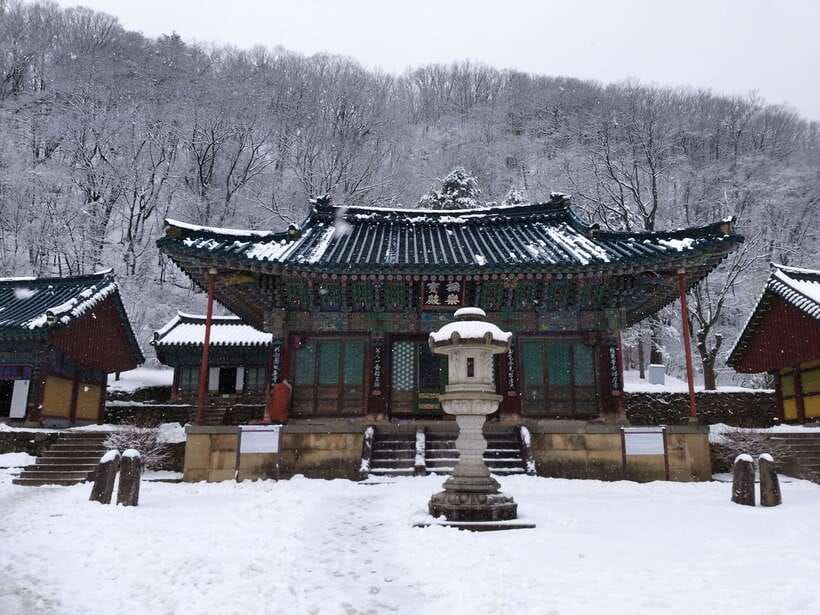 Seoul: Mt.Seorak, Nami Island & Korean Garden, No Shopping - A No-Shopping Day Trip That Makes North Korea Style Views Feel Nearby
