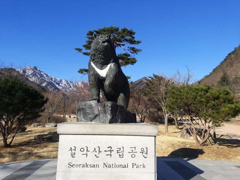 Seoul: Mt.Seorak, Nami Island & Korean Garden, No Shopping - Cable Car Reality Check, Weather Changes, and Your Best Strategy