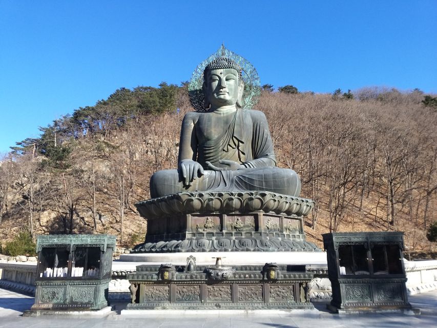 Seoul: Mt.Seorak, Nami Island & Korean Garden, No Shopping - Garden of Morning Calm: Design Details Plus Evening Light Energy