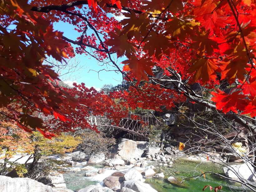 Seoul: Mt.Seorak, Nami Island & Korean Garden, No Shopping - Price and Value: Why $95 Makes Sense, and What Costs Extra