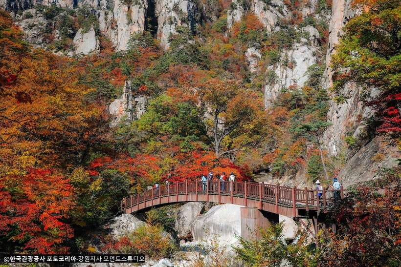 Seoul: Mt.Seorak, Nami Island, No Shopping(+RailBike Option) - Price and logistics, what you really pay for