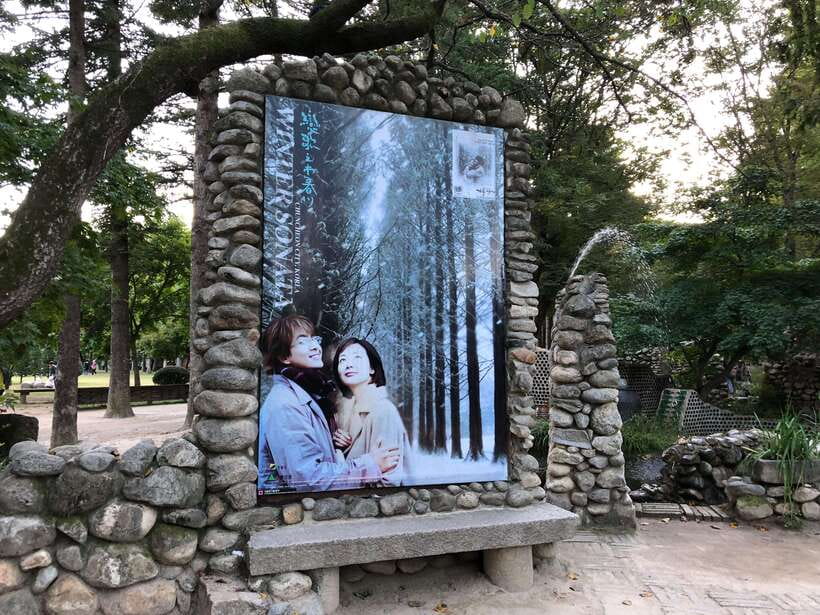 Seoul: Mt.Seorak, Nami Island, No Shopping(+RailBike Option) - Nami Island, romantic photos, but keep it slow