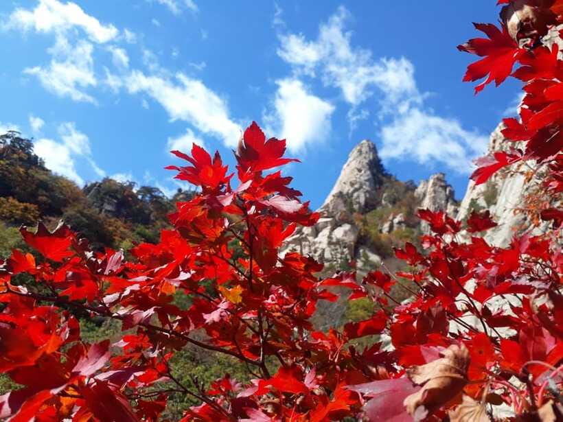 Seoul: Mt.Seorak, Nami Island, No Shopping(+RailBike Option) - Timing, what could feel rushed and what usually lands well