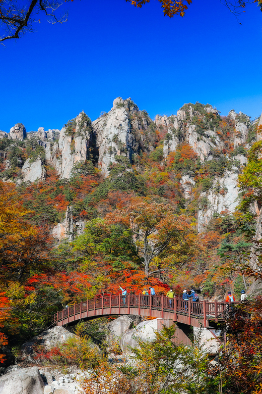 Seoul: Mt. Seoraksan National Park Autumn Foliage Day Tour - Key things I’d focus on before you go