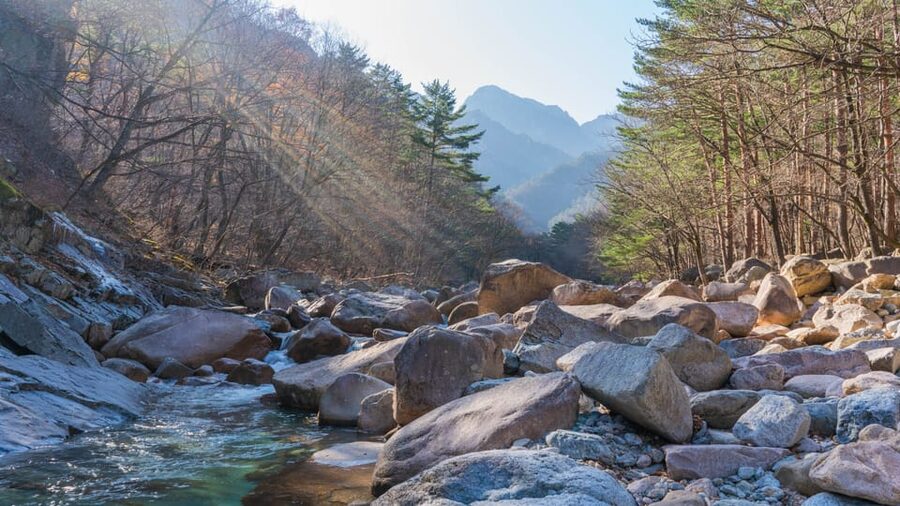 Seoul: Mt. Seoraksan National Park Autumn Foliage Day Tour - Ullsabwawi without the guesswork: managing the hardest part
